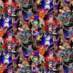 Rocker Cats - MULTI