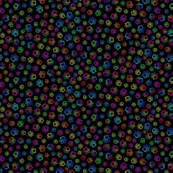 Digital - Rainbow Dog Paws - BLACK