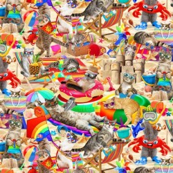 Digital - Cool Cats - MULTI