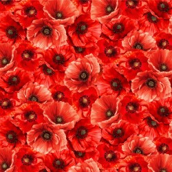 Packed Poppies (Digital) - POPPY