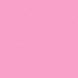 Spin Basic - CARNATION