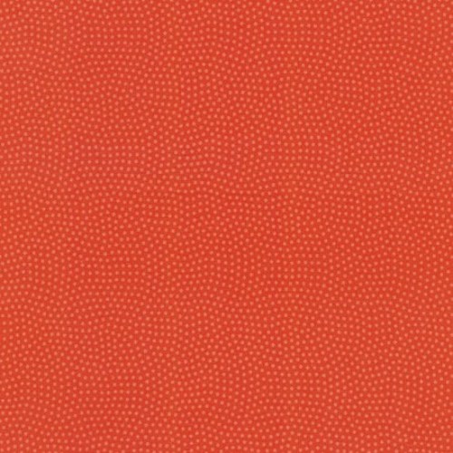 Spin Basic - CORAL