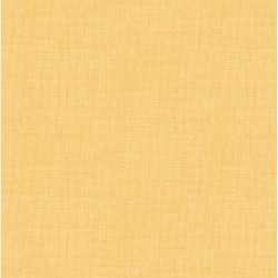 Remix Basics - MIMOSA