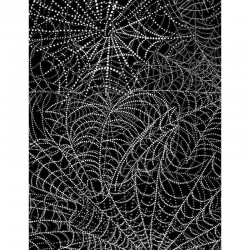 Spiderweb - BLACK