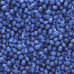 Packed Blueberries - BLUEBERRY