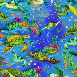 Sea Turtles - OCEAN