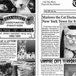 Cat Newspaper - NEWSPRINT
