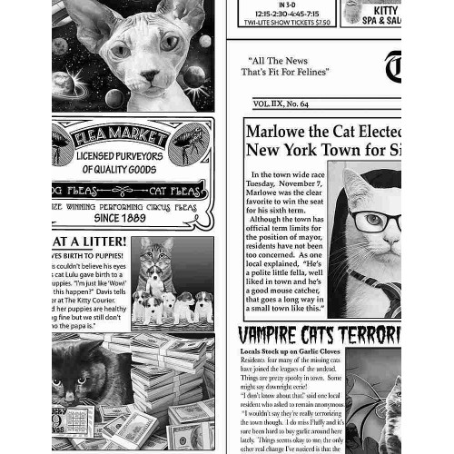 Cat Newspaper - NEWSPRINT