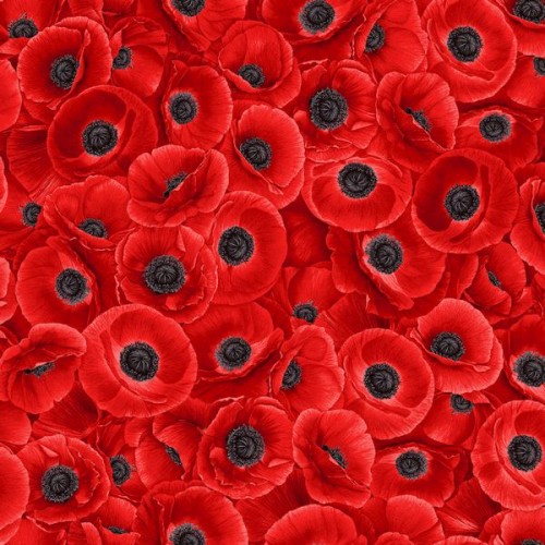 Packed Red Poppies - RED
