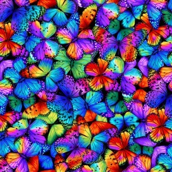 Packed Multi Bright Butterflies - MULTI