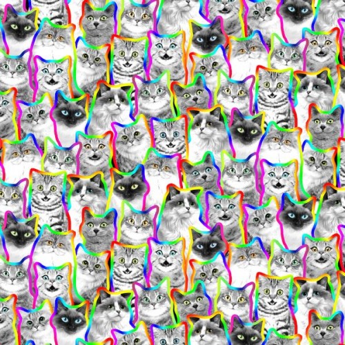Neon Outline Black And White Cats - MULTI