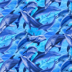 Dolphins - BLUE