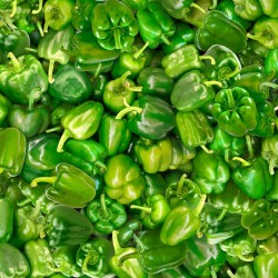 Green Bell Peppers - GREEN
