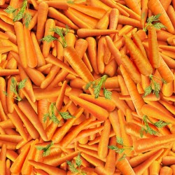 Packed Carrots - ORANGE