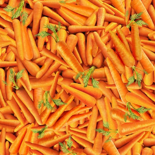 Packed Carrots - ORANGE